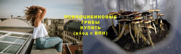 трава Армянск